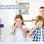 Lọc Nước Pentair Everpure PBS-400 Special